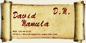 David Mamula vizit kartica